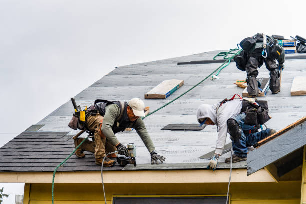 Professional Gutter Installation technician working in Amboy, IL